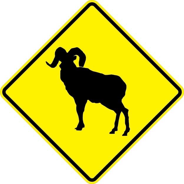 Bighorn Sheep Sign- W11-18