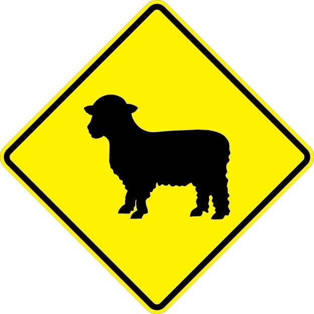 Sheep Sign- W11-17